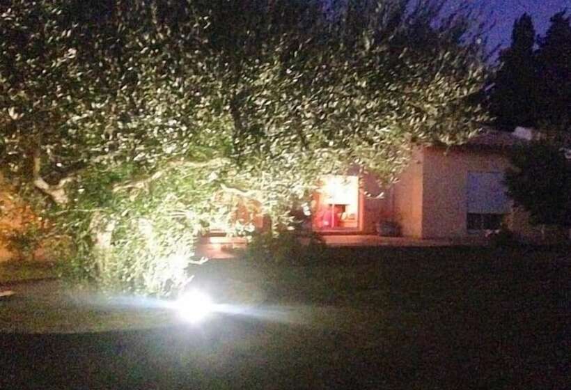 膳宿费 La Casa Nert