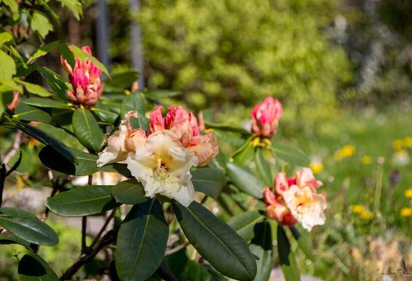 ペンション La Ferme Du Vieux Moulin