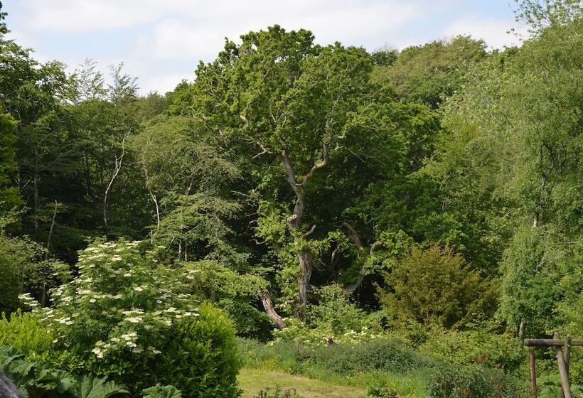 بنسيون La Grange De Coatelan