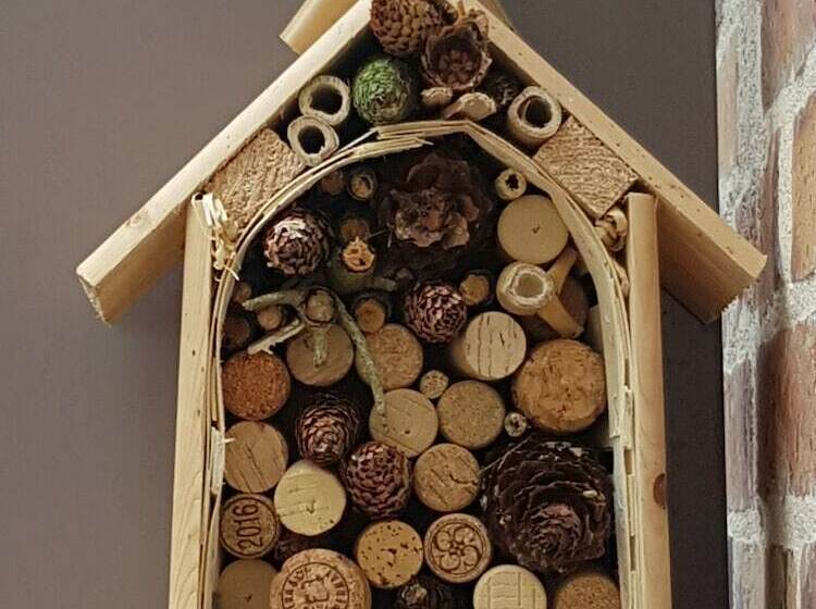 פנסיון La Montignonne