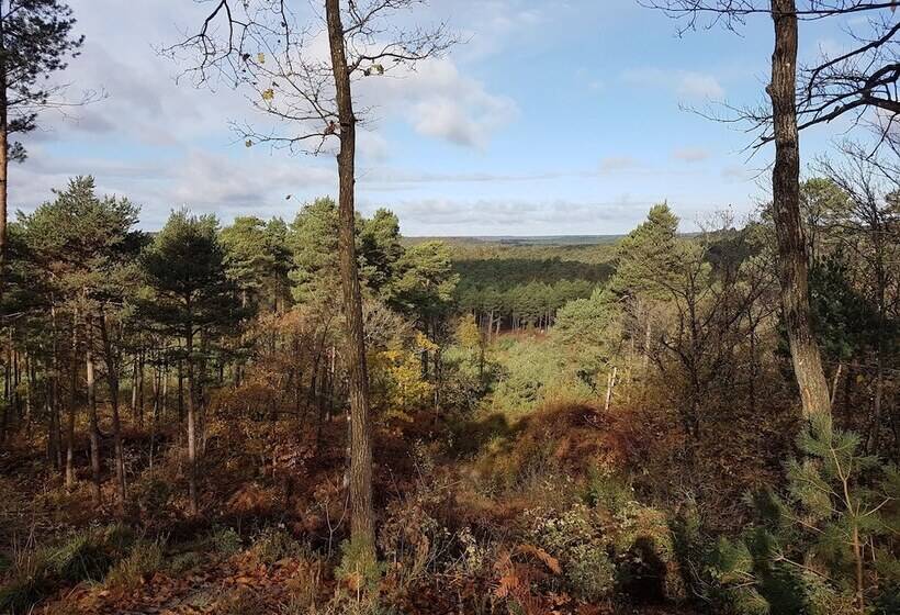 פנסיון La Montignonne