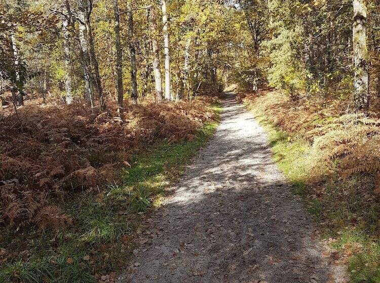 פנסיון La Montignonne