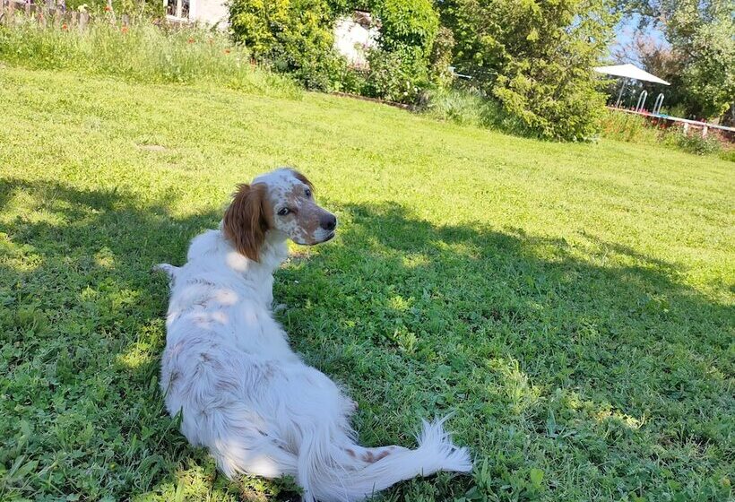 פנסיון La Pause Val De Loire
