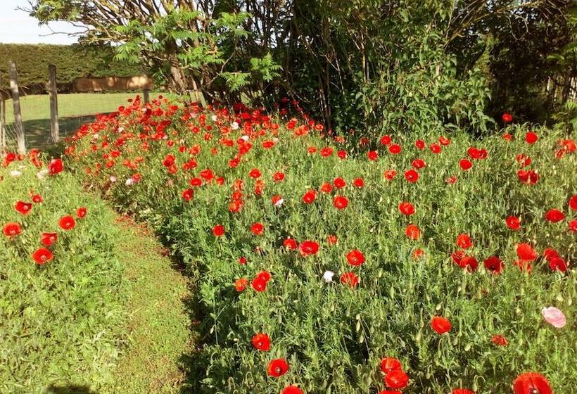 פנסיון La Pause Val De Loire