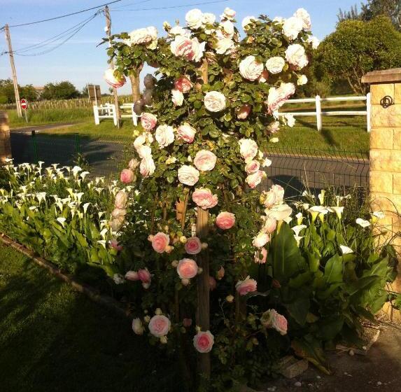 بنسيون Les Arums De Fondeminjean
