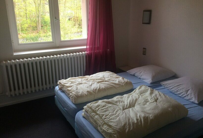 بنسيون Les Sources