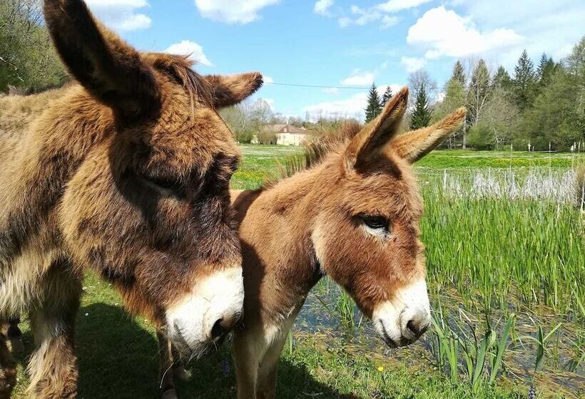 膳宿费 Moulin De Saint Avit