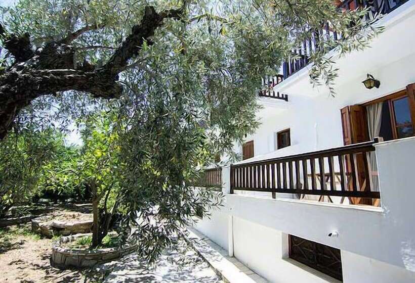 פנסיון Naftilos Skiathos