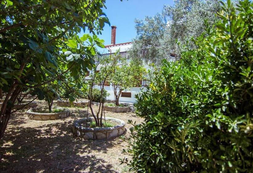 פנסיון Naftilos Skiathos