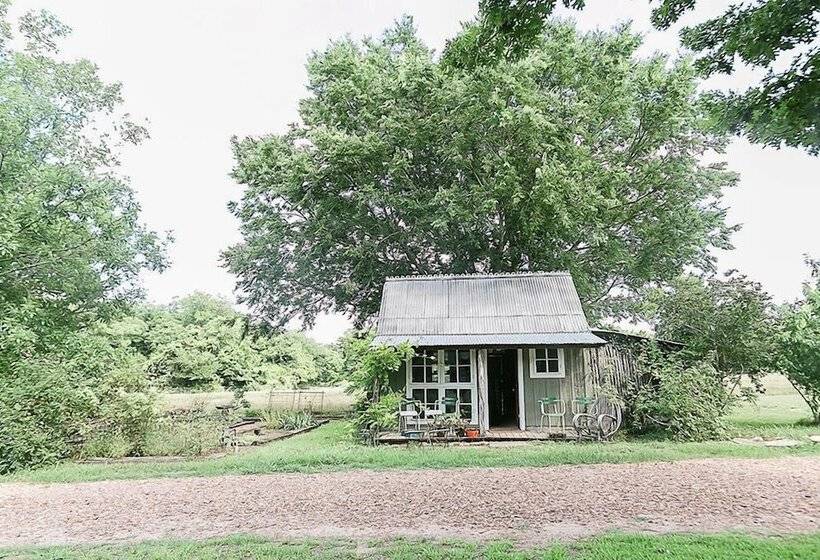 Пансион The Frenchie