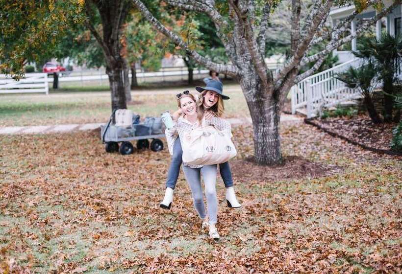 Пансион The Frenchie