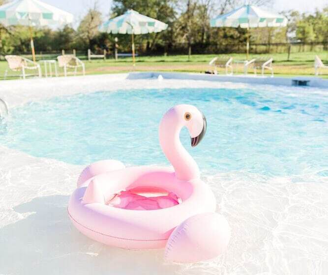 Пансион The Frenchie