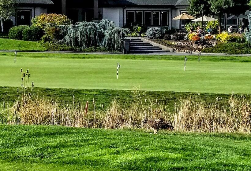 Resort At Eagle Point