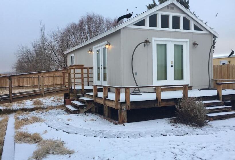 Shady Lady Bed And Breakfast