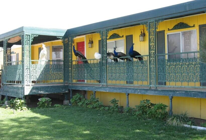 Shady Lady Bed And Breakfast