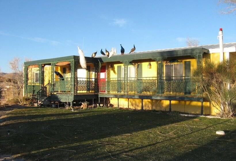 Shady Lady Bed And Breakfast