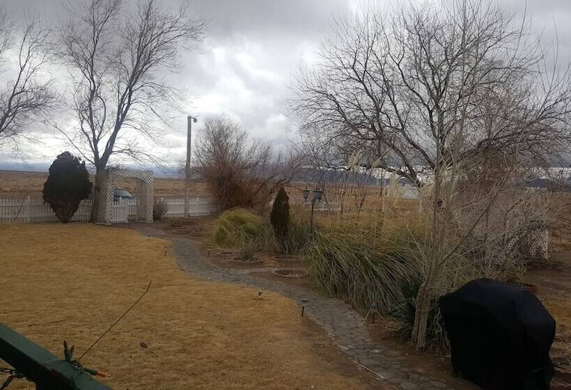 Shady Lady Bed And Breakfast