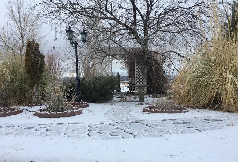 Shady Lady Bed And Breakfast