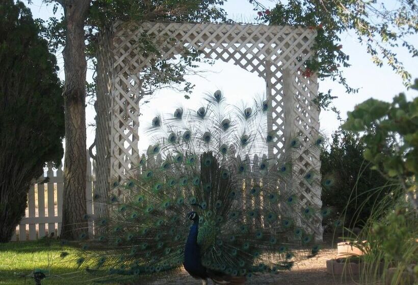 Shady Lady Bed And Breakfast