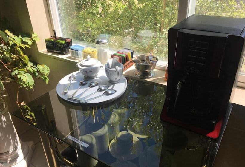 Shady Lady Bed And Breakfast