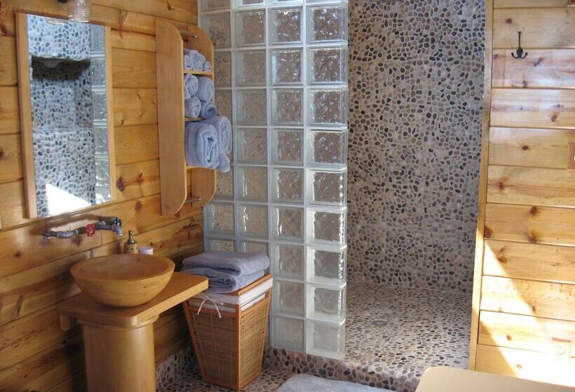 Shady Lady Bed And Breakfast