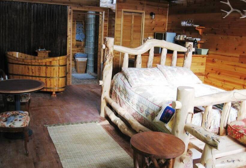 Shady Lady Bed And Breakfast