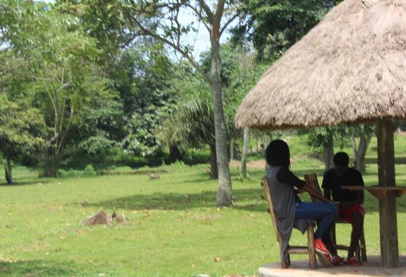 Ssese Islands Beach Hotel   Hostel