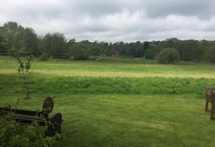 Thatched Cottage B&b