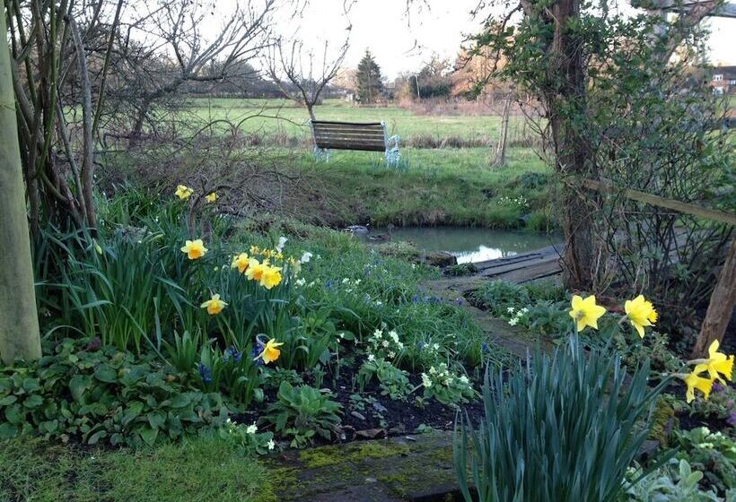 Thatched Cottage B&b