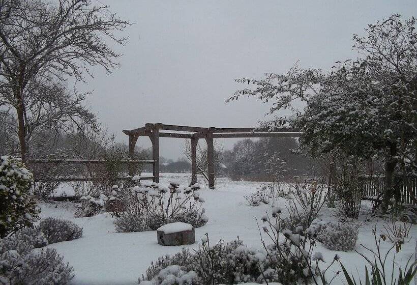 Thatched Cottage B&b