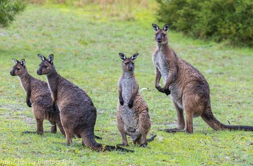 Antechamber Bay Retreats