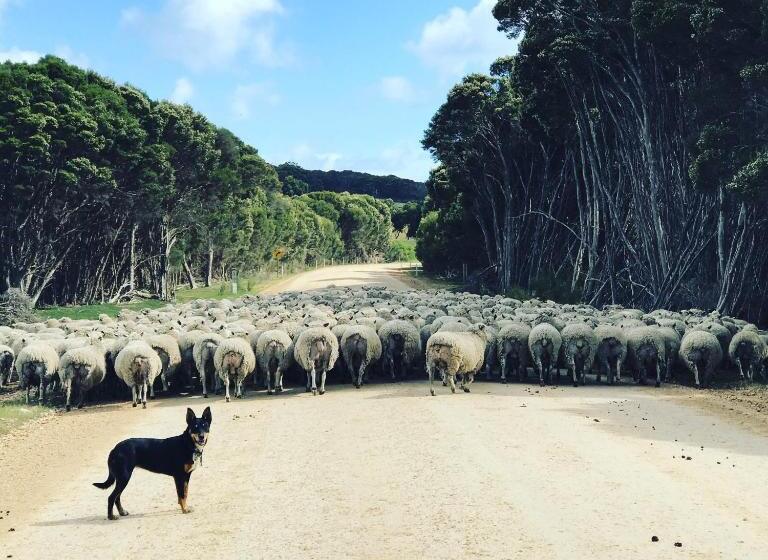 Antechamber Bay Retreats