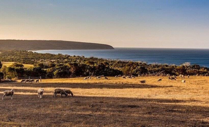 Antechamber Bay Retreats