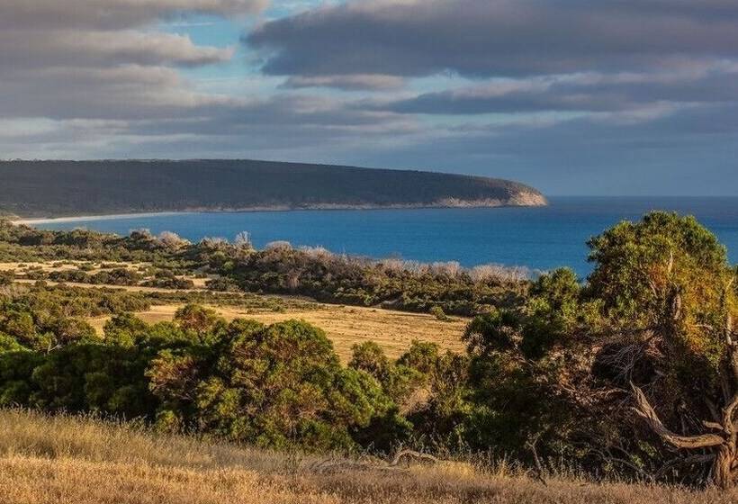 Antechamber Bay Retreats