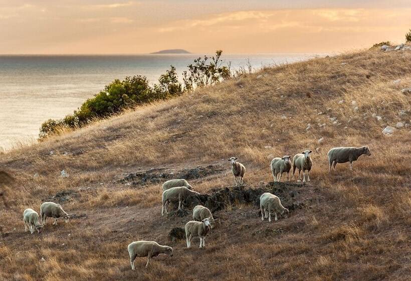 Antechamber Bay Retreats