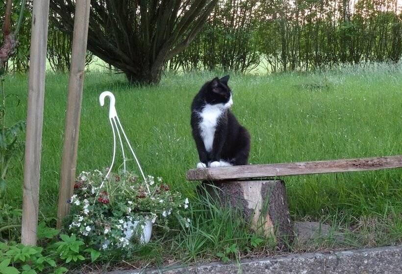 Bed and Breakfast Dat Lütte Nest