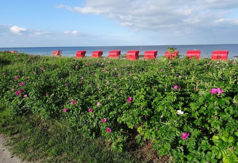 Bed and Breakfast Dat Lütte Nest