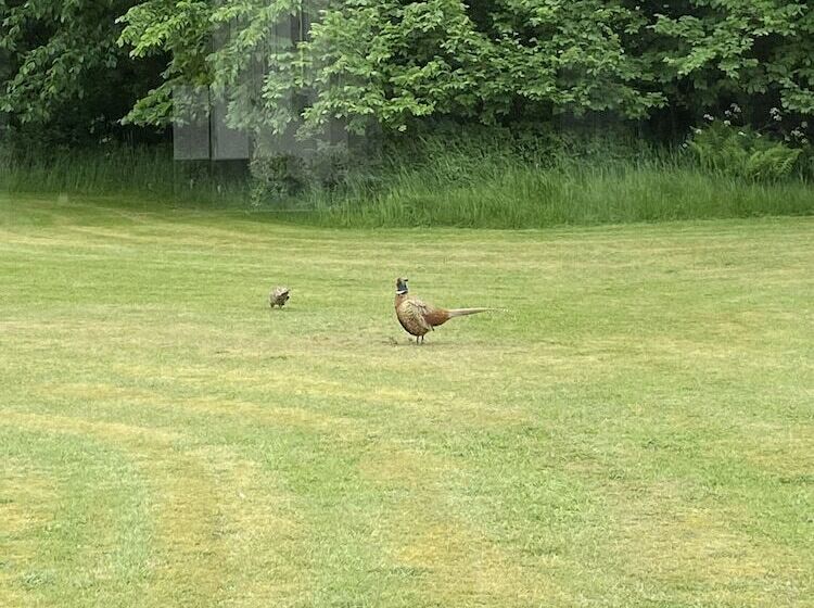 فندق فئة نجمة واحدة Blokhus Hune Hotel Og Vandrerhjem