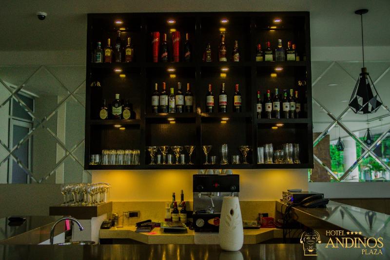 호텔 Andinos Plaza Florencia