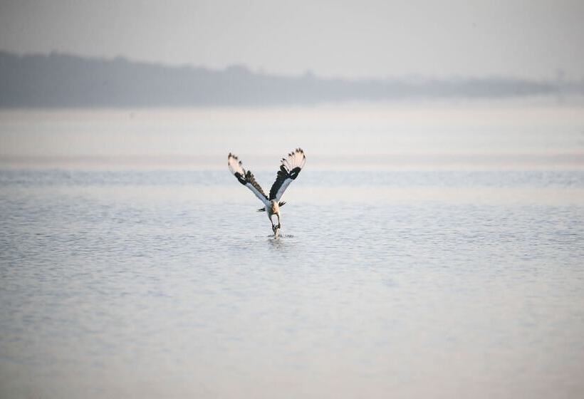 هتل Brovad Sands Lodge