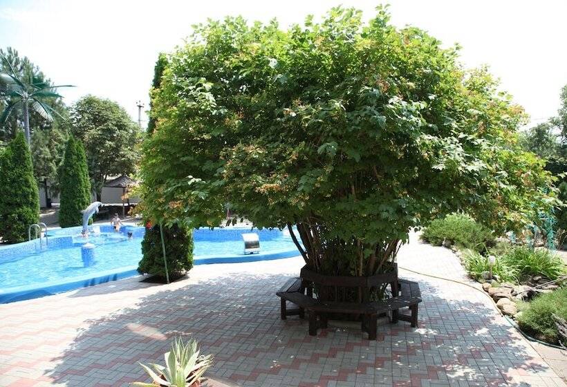 هتل Guest House Seastar