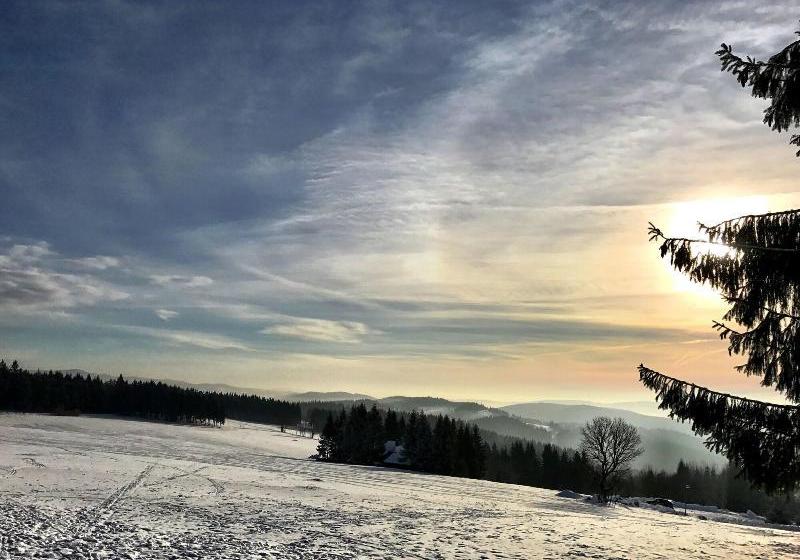 Отель Královka