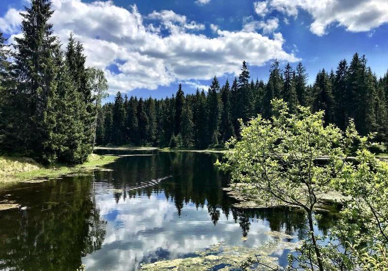 Отель Královka