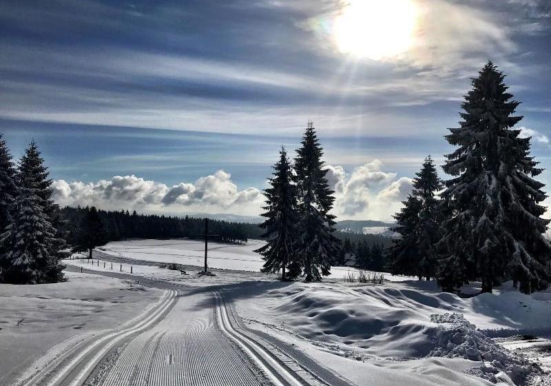 Отель Královka