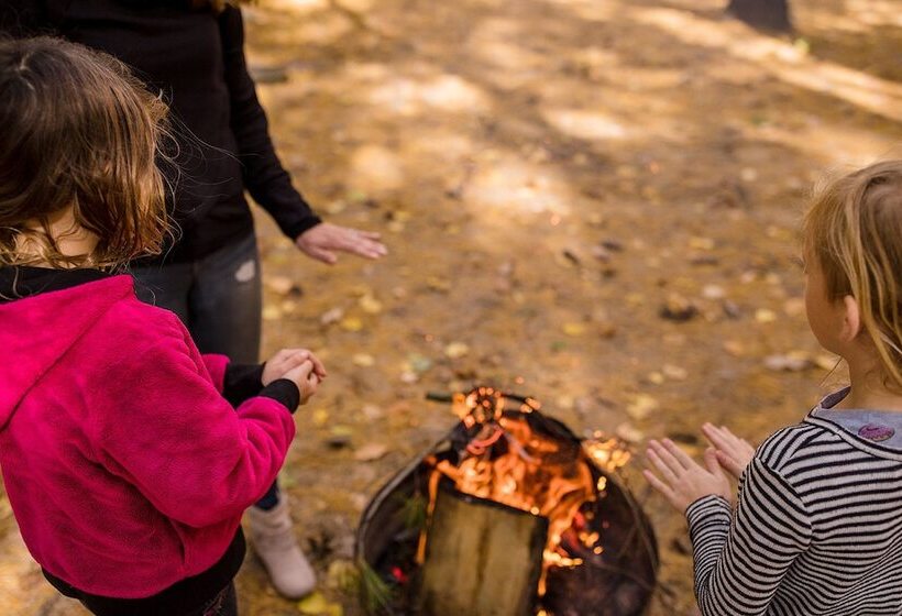 فندق Pere Marquette River Koa Campground