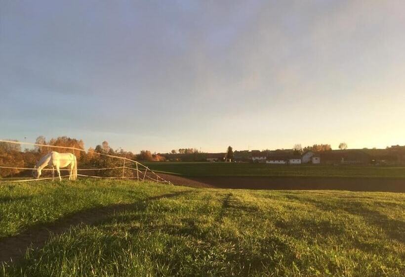 교외 호텔 Ferienhof Löw