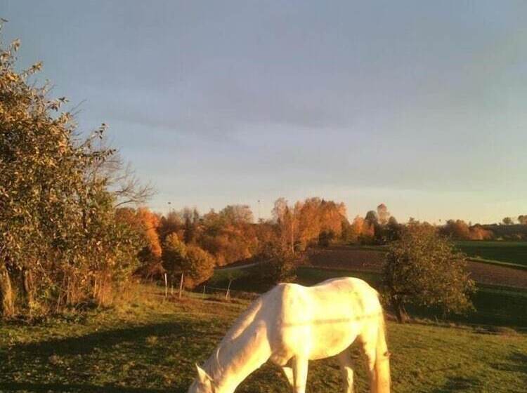 교외 호텔 Ferienhof Löw