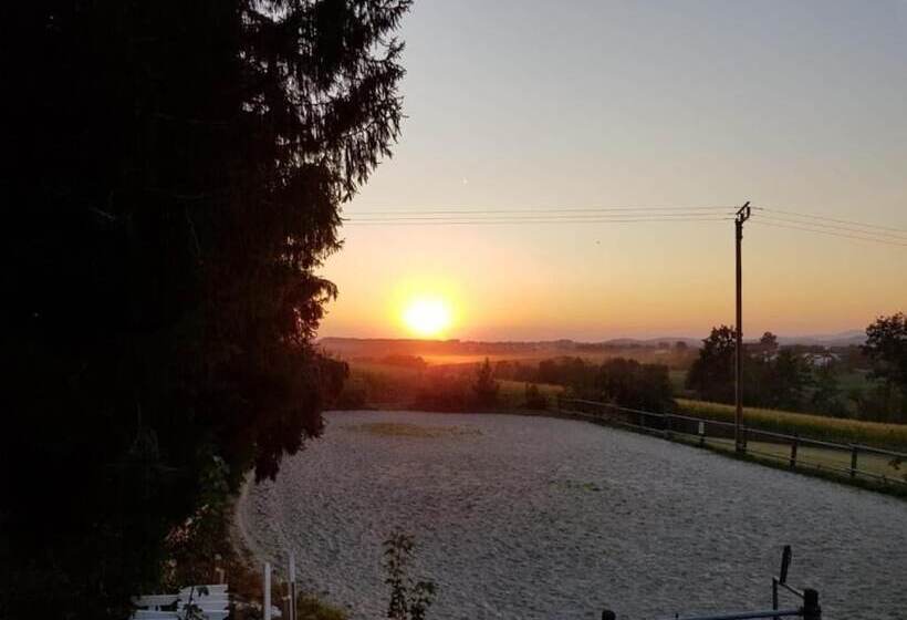 교외 호텔 Ferienhof Löw