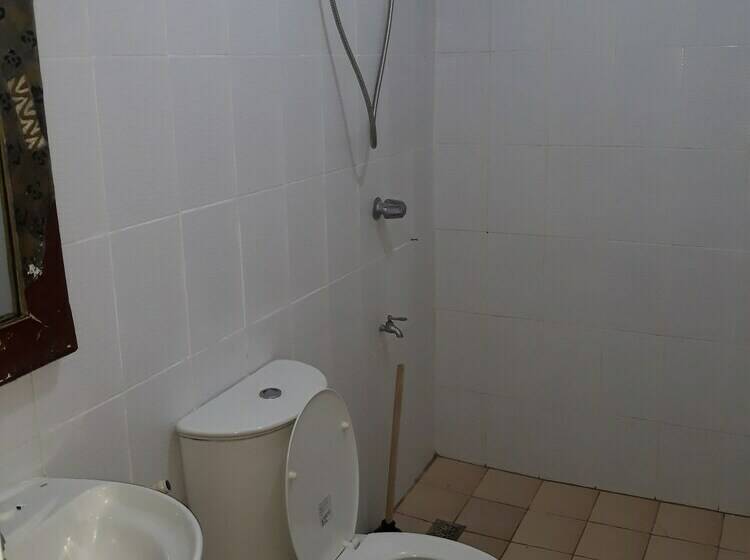 בית מלון כפרי Shane