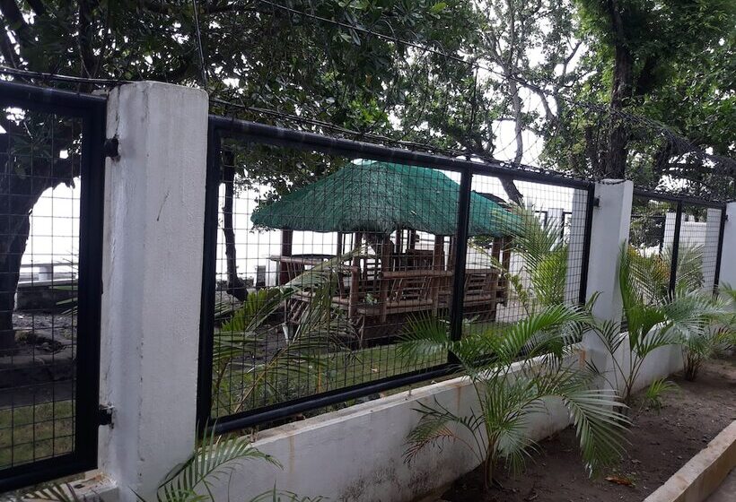 בית מלון כפרי Shane